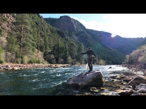 The GREATEST trout stream in the US.
