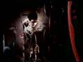 The Creatures - Miss the Girl