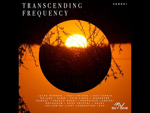 Following Light - Brood (Askin Dedeoglu Remix)