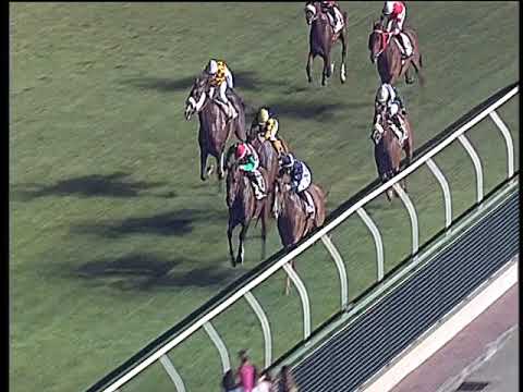 Galoppo 13/07/2019 - 6ª corsa