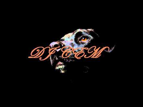 DJ Cem (MEGA MIX)