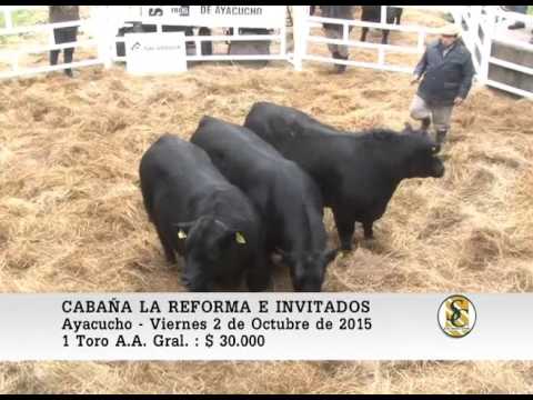 02-10-15 Ventas de Toros A.A. Generales - Cabaña La Reforma e Invitados - Ayacucho.