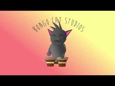 Bongo Cat Studios!