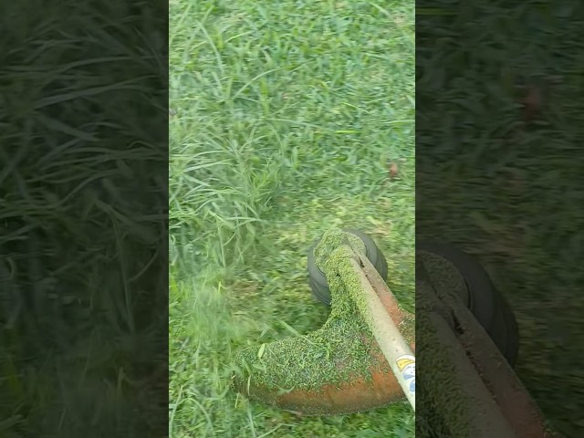 Vídeo relacionado con Garlavie Cepillo para Desbrozadora stihl Compatible de 24,5 mm - Cepillo Alambre Eliminar Musgo y Maleza, Accesorios desbrozadora stihl