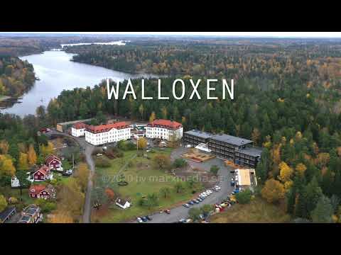 Walloxen Margaretaskolan i Knivsta - en kort impression i oktober 2020