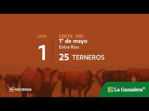 Lote Terneros en 1° de Mayo