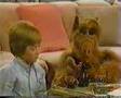 Alf Missle Man
