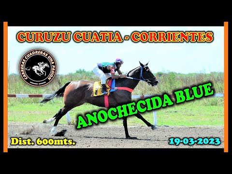 ANOCHECIDA BLUE, Curuzú Cuatiá, Ctes. (19/03/2023), Dist. 600mts.