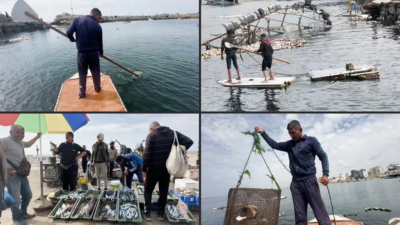 Na falta de barcos, palestinos usam portas de geladeiras para pescar | AFP