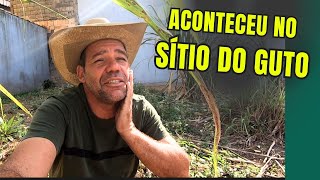 DIA DE MUITO TRABALHO