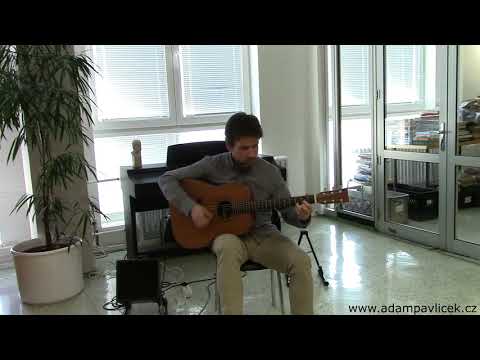 Adam Pavlíček - Adam Pavlíček - That´s the Way (Hommage to Led Zeppelin) / live 