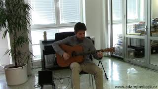 Adam Pavlíček - That´s the Way (Hommage to Led Zeppelin) / live 