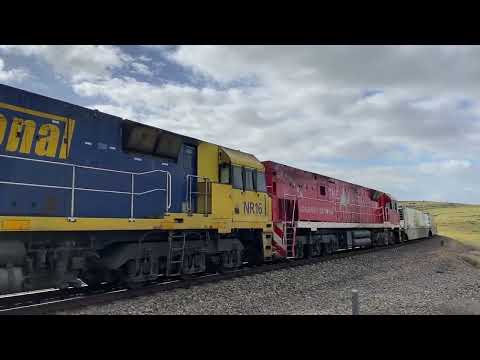 6MP5 - NR12, NR16 & NR74