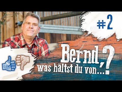 Bernd, was hältst du von...? #2 - Reitpads und Rollkur