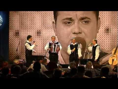 Modrijani & Petrič & Spev & Štirje kovači & Alfi-Venček uspešnic NZ glasbe (v živo)