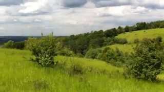 Walking up and around Box Hill - Surrey UK