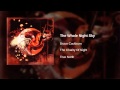 Bruce Cockburn - The Whole Night Sky
