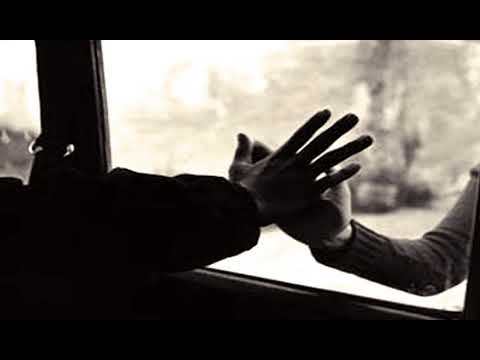 Rush x Ashim - #ДНИНАПРОЛЕТ | I love music