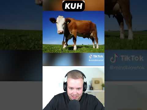 TIERE 🦁 DIE NACHTS 😴 GRUSELIG AUSSCHAUEN 😱