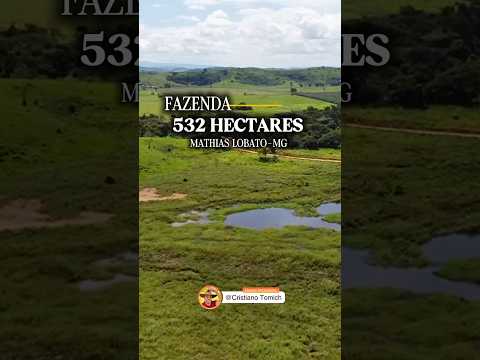 FAZENDA 532 HECTARES MATHIAS LOBATO-MG R$ 16 MILHÕES #pecuarista #minasgerais #fazenda #gado #luxo