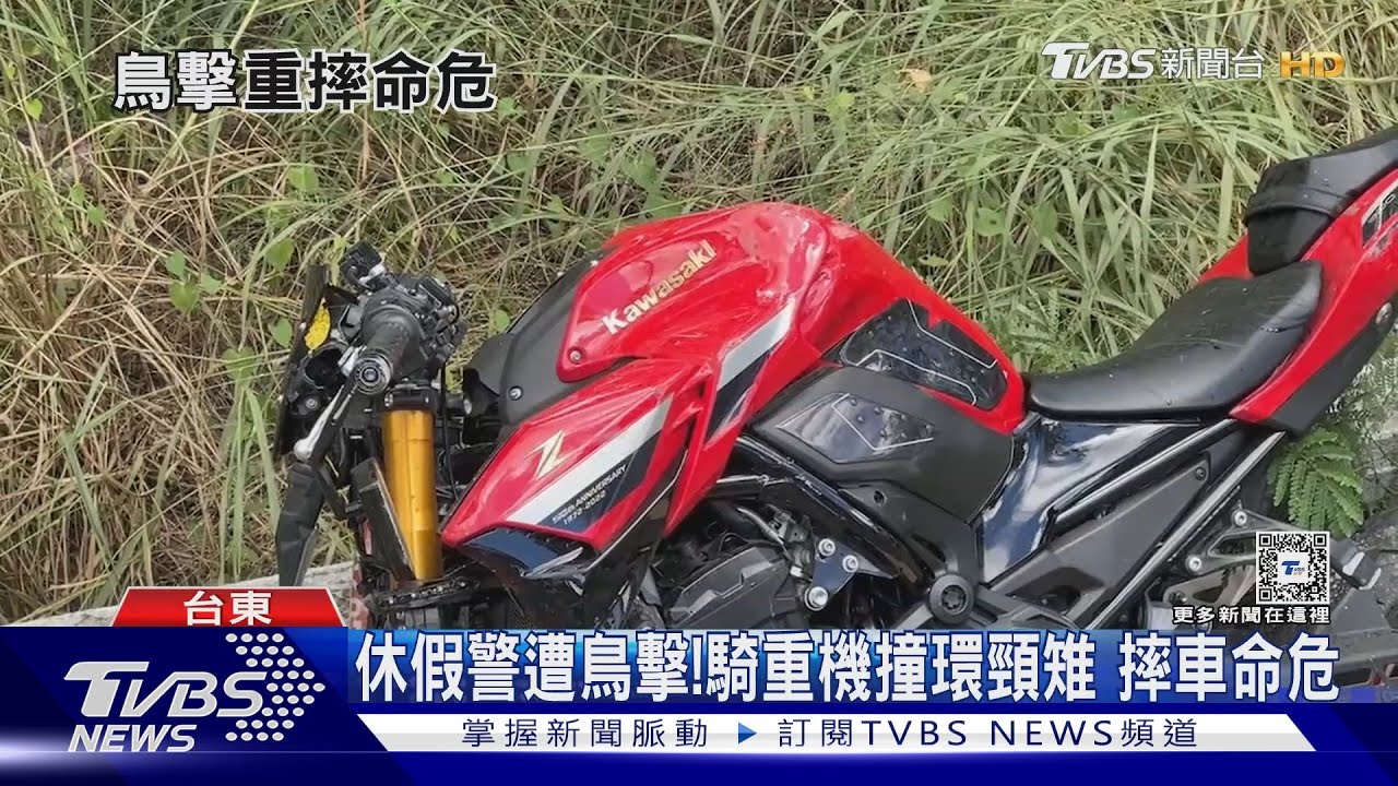 休假警遭鳥擊! 騎重機撞環頸雉 摔車命危