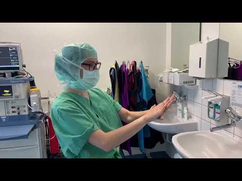 Ortho Daily Five (OD5) - Folge 11 - Einwaschen