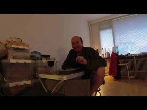 MongoTV_9616 - Cykler Til LIDL Torsdag Aften Efter Billig Frost PIZZA