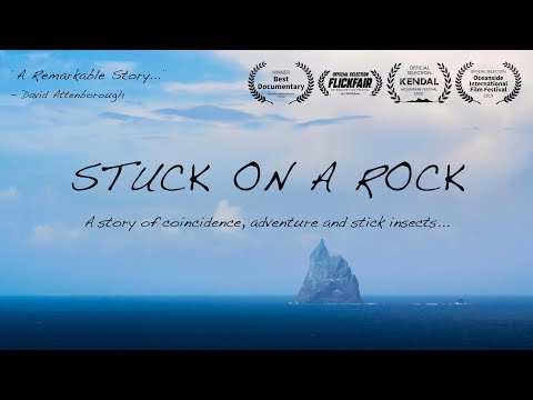 Stuck on a Rock