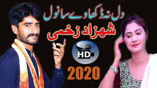 #WaseebStudio New saraiky panjabi song2020dil na d