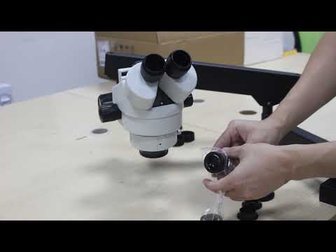 Cousins Microscope Set Up (M60687)