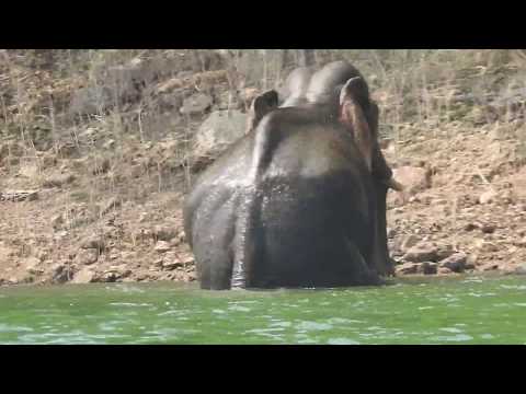 Shendurney Wildlife Sanctuary [ Thenmala, Kollam, Kerala, India ]