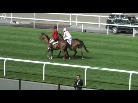 GALOPPSPELAREN - Dubai Sheema Classic 2010, Dar Re Mi and William Buick, Meydan Racecourse no3