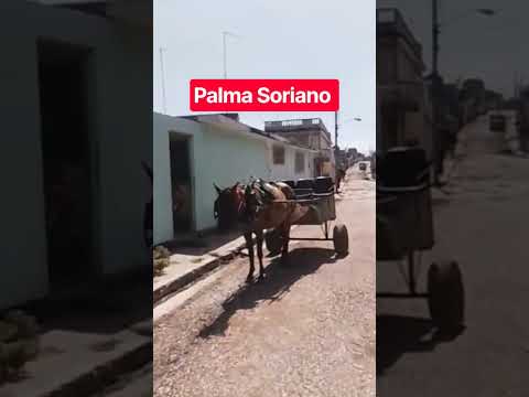 Palma Soriano #palmasoriano #santiagodecuba #cuba #seguirajesús