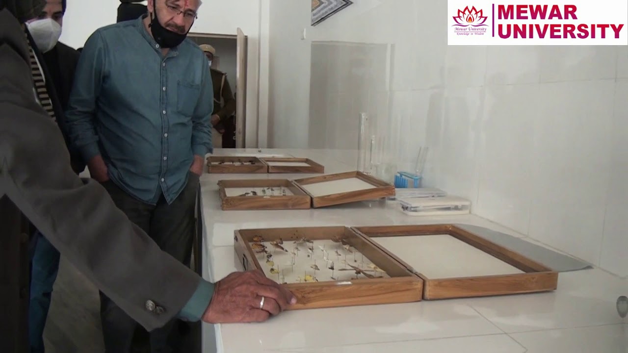 Syrian Ambassador visited Mewar University