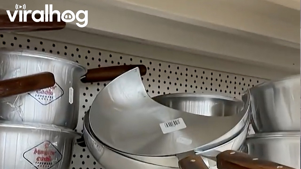 Frying Pan’t || ViralHog