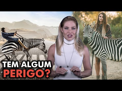 Por que não montamos em zebras?