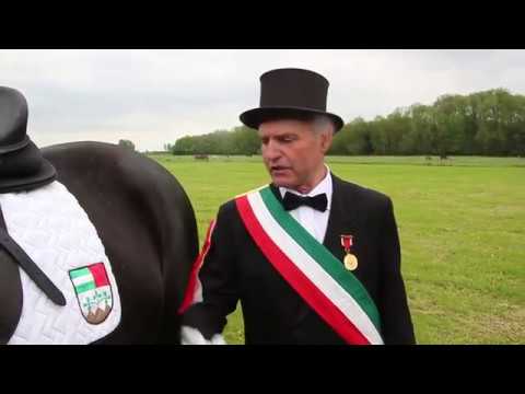 Blutreitergruppe Laupheim: Städtische Farben