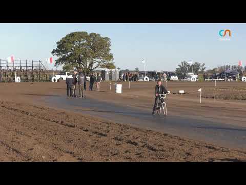 Finales 6° fecha C.A.M. - Colonia Belgrano, Santa Fe