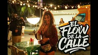 Flow de la Calle - La ley de gravedad   (Calle 13)