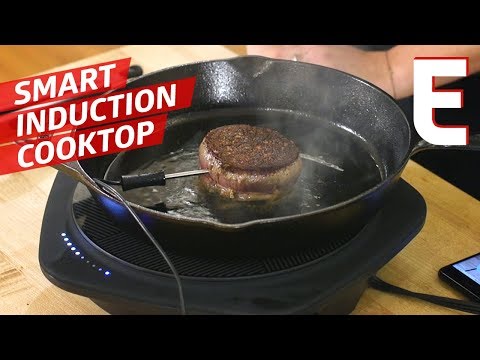 Do You Need BuzzFeed's Tasty One Top Induction Cooktop? — You Can Do This!
