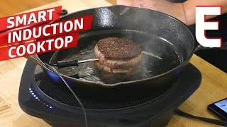 Do You Need BuzzFeed&#39;s Tasty One Top Induction Cooktop? — You Can Do This!