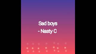 Sad boys by Nasty C lyrics