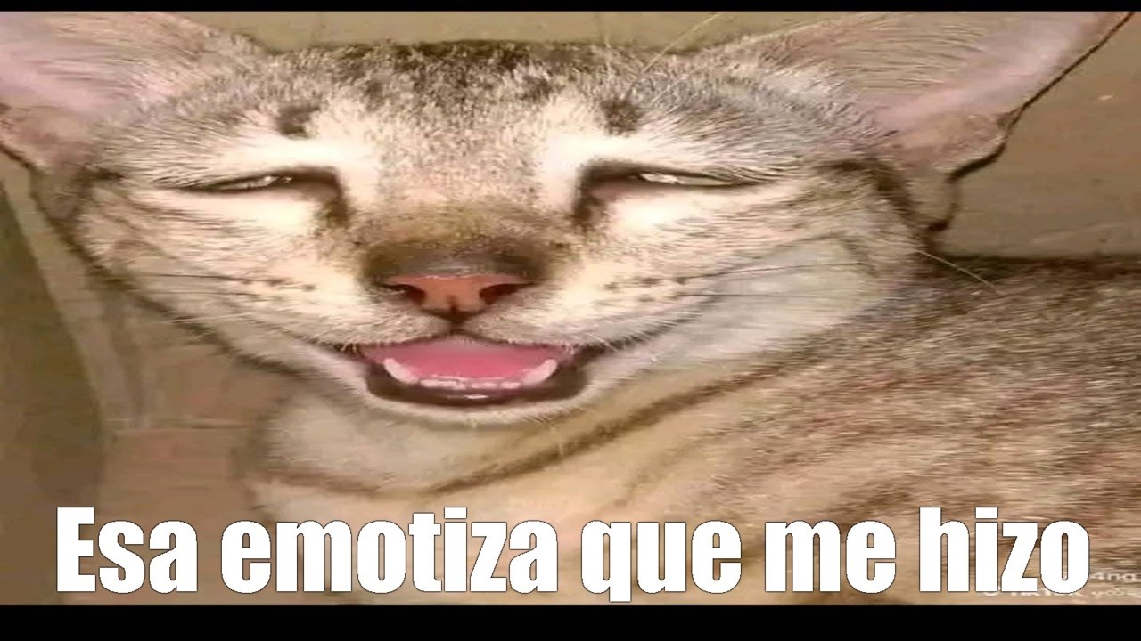 Shitpost Compilation V35