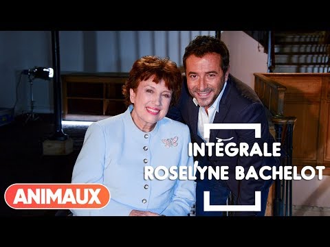 Roselyne Bachelot dans Animaux Stars (intégrale) - Animaux