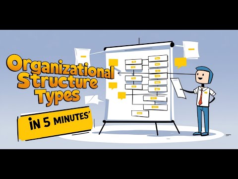 What Are the 4 Types of Organizational Structures?