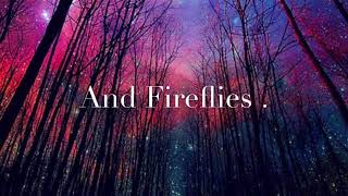 Fireflies { Lyrics } by Faith Hill