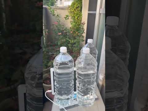 プライバシースクリーン 植物 バルコニー用 ノウゼンカズラ