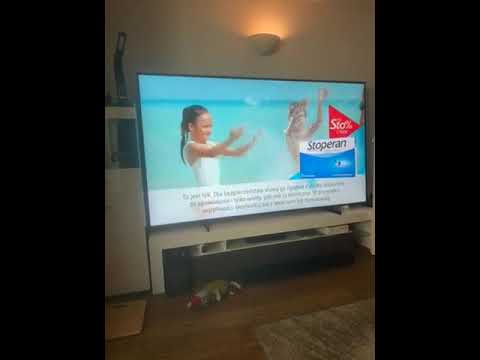 Polbox - Problem with voice