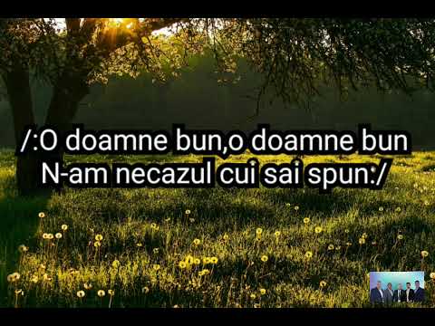 Negativ cu versuri-o Doamne Bun(grupul biruitorii)