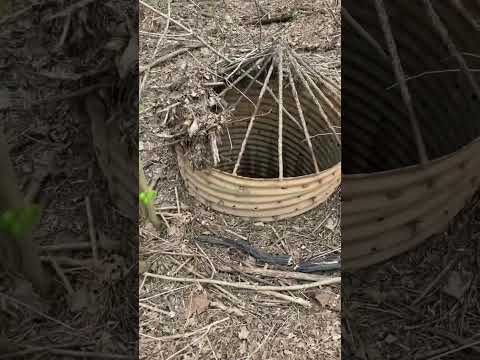 FATHER AND DAUGHTER VLOG 03/21/23